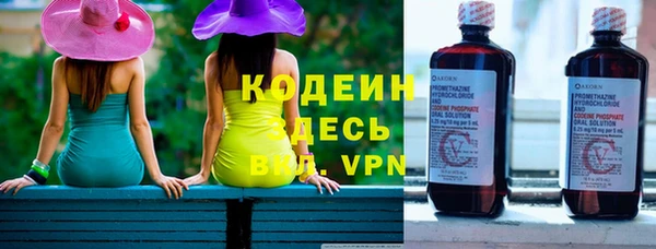 индика Дмитровск