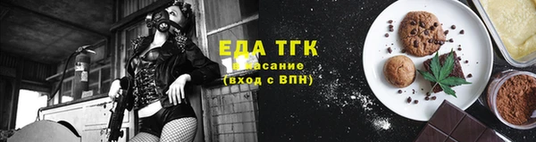 индика Дмитровск