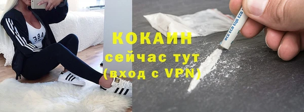 СК Дмитров