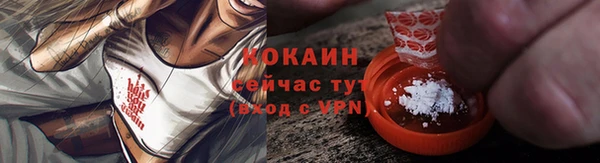 индика Дмитровск