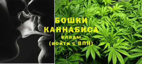 СК Дмитров