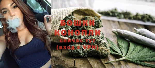 марки nbome Ельня