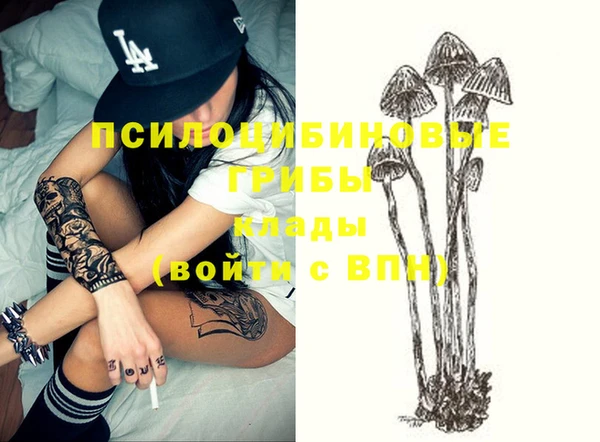 индика Дмитровск