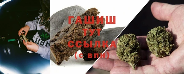 индика Дмитровск