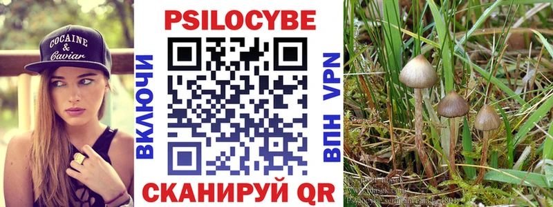 Купить закладки  Лебедянь  Псилоцибиновые грибы ЛСД 